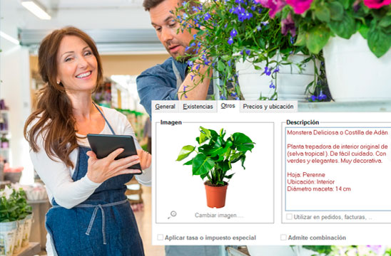 Trabajadores de floristería con tablet y ventana Artículos de programa de gestión ClassicGes Comercio